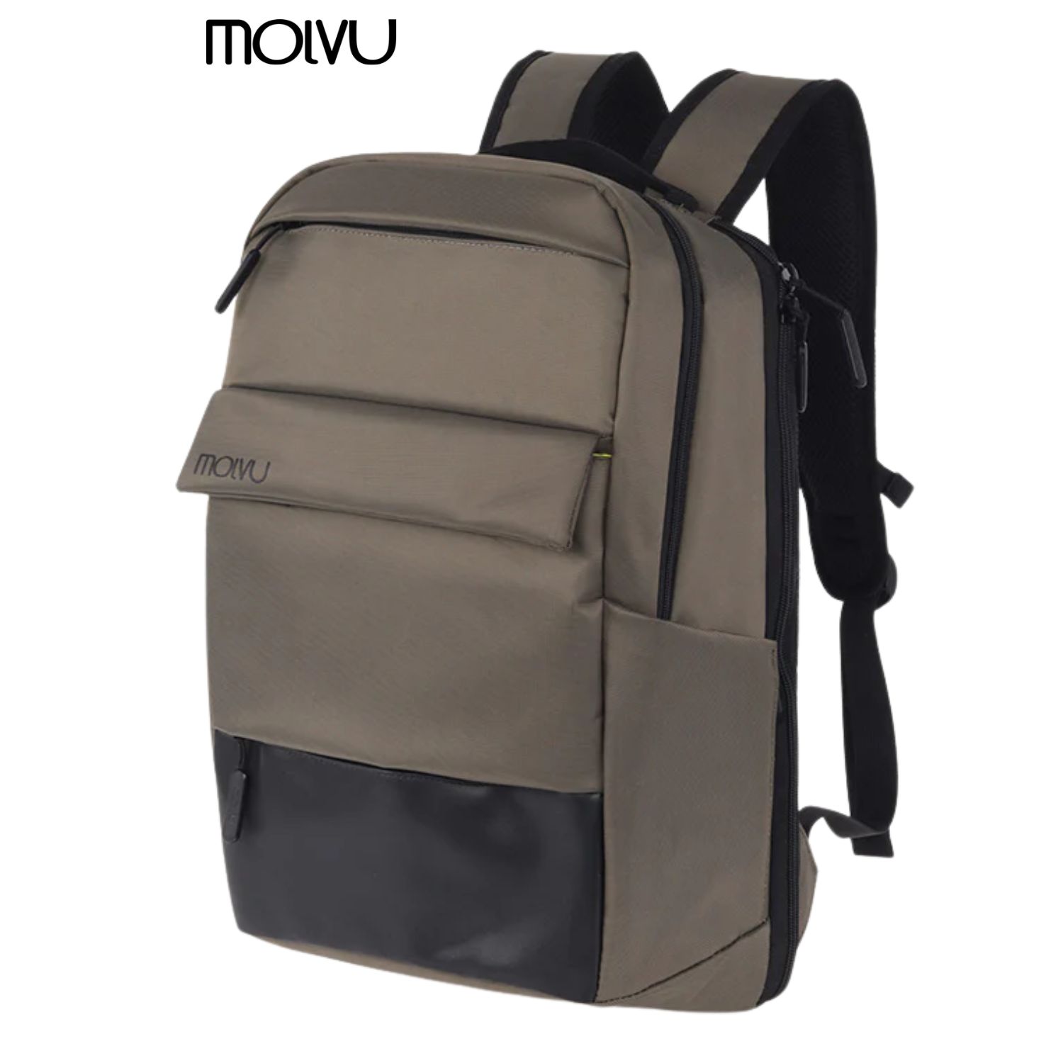 molvu business 6