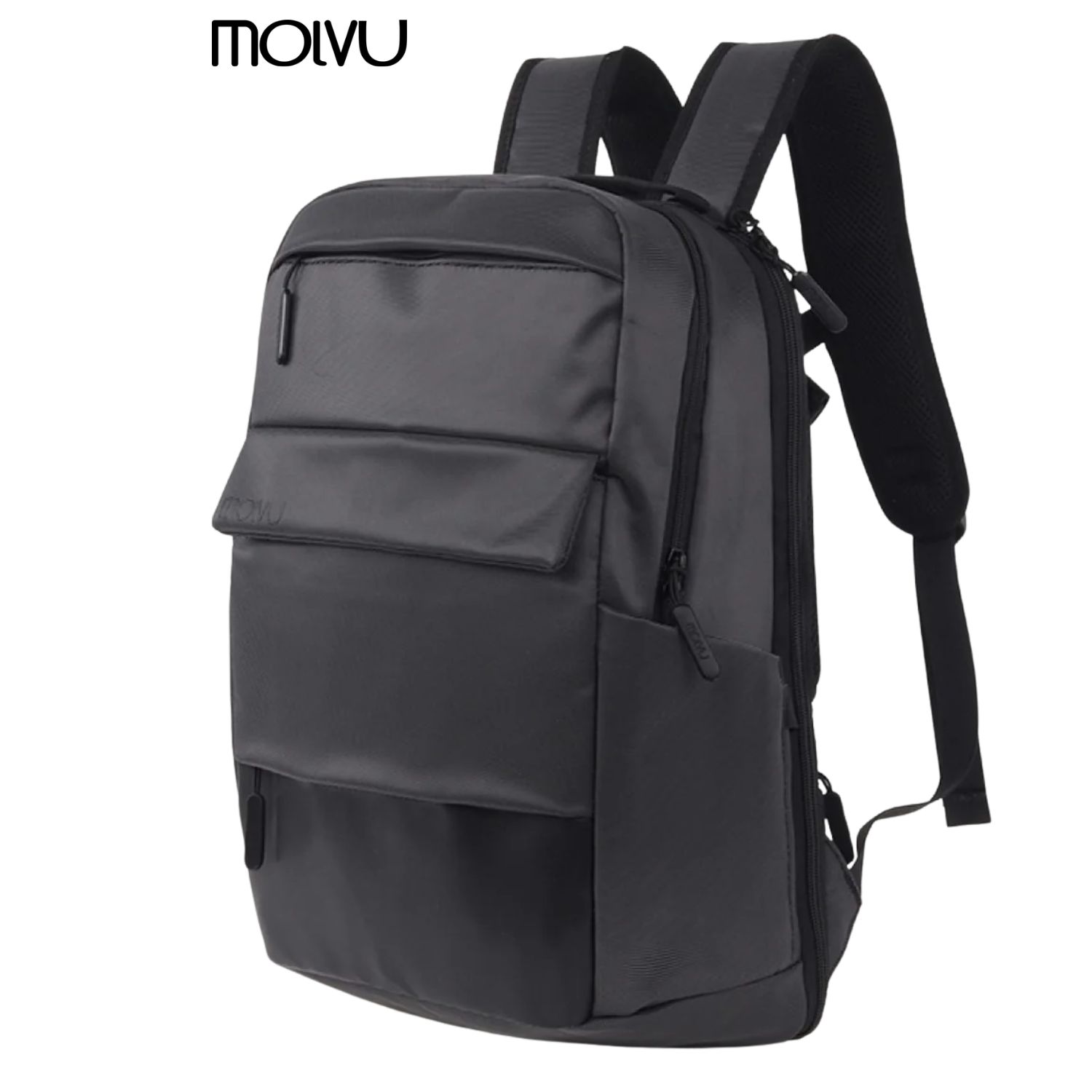 molvu business 6
